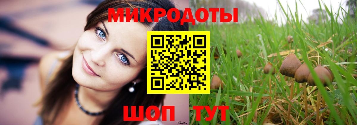 Галлюциногенные грибы MAGIC MUSHROOMS Новочеркасск